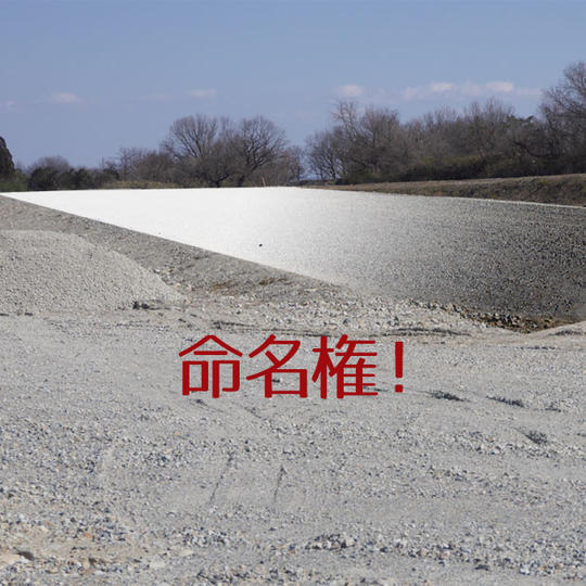 ジャンプ台命名権