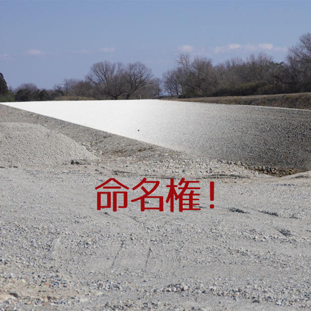 ジャンプ台命名権