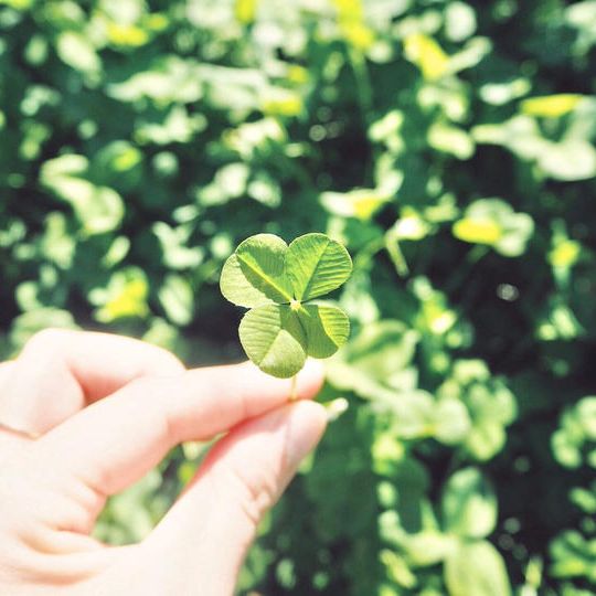 サンクスレター＋写真集