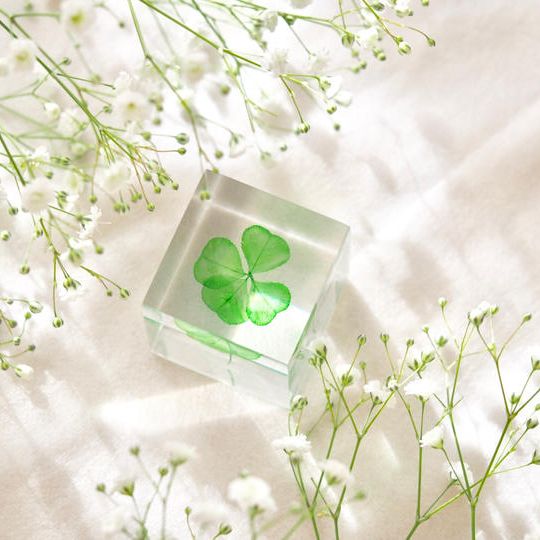 サンクスレター＋四つ葉のクローバーキューブ(グリーン)