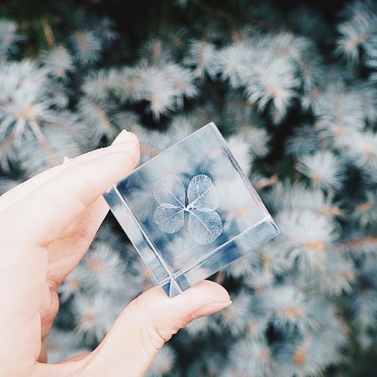 サンクスレター＋四つ葉のクローバーキューブ(ホワイト)