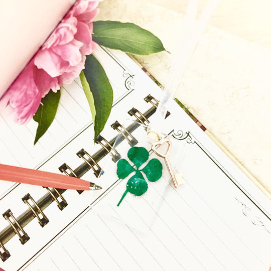 サンクスレター＋講演会・授業依頼