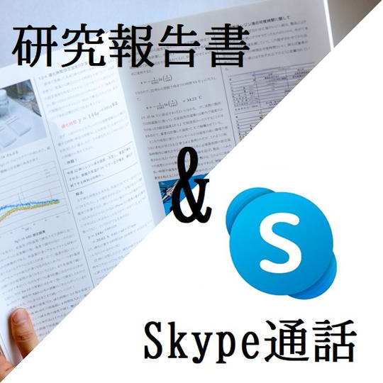 報告書とSkype通話セット 