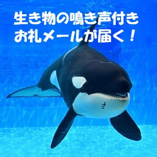 お礼メール(生き物の鳴き声付き)