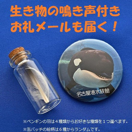ペンギンの羽(瓶入)+オリジナル缶バッチ(お礼メールには生き物の鳴き声付き)