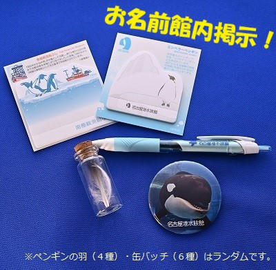 レア　名古屋港水族館限定　シャチ　アース　缶バッジセット シャチの餌代寄付のお礼は缶バッジ 名古屋港水族館が制作：中日