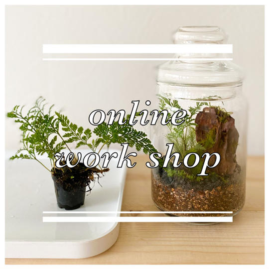 テラリウムオンラインワークショップ参加　ステップ２（クーポン付き）
