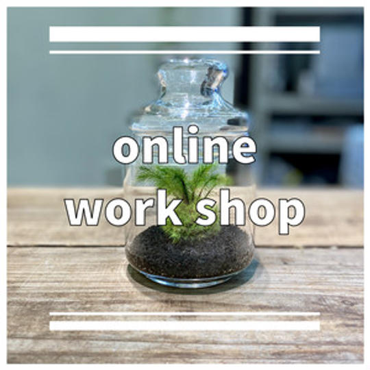 テラリウム作成キット　ステップ３（クーポン付き）