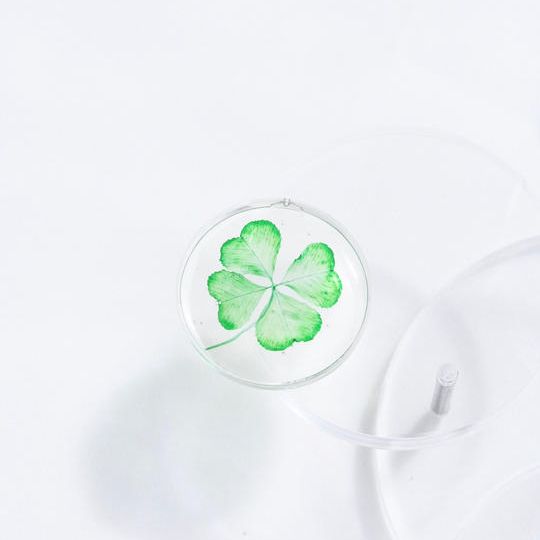 四つ葉のクローバーお守り＋サンクスレター