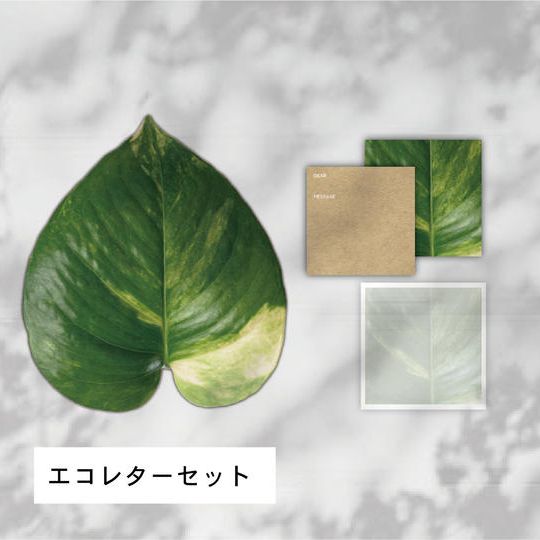 【送料込み】ビーワックスエコレターセット＋ONE TREE プロジェクトへの支援