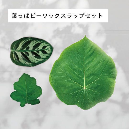 【送料込み】葉っぱビーワックスラップセット＋ONE TREE プロジェクトへの支援