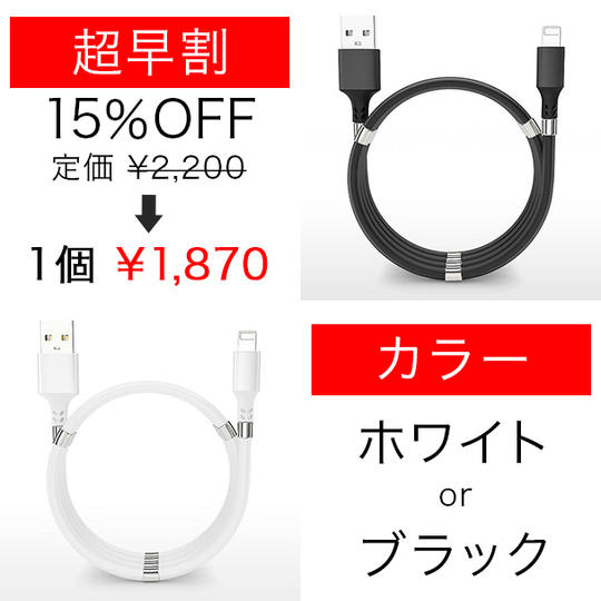 【超早割】完成したFormeX　1個 