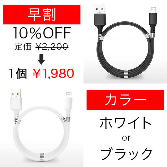 【早割】完成したFormeX　1個 