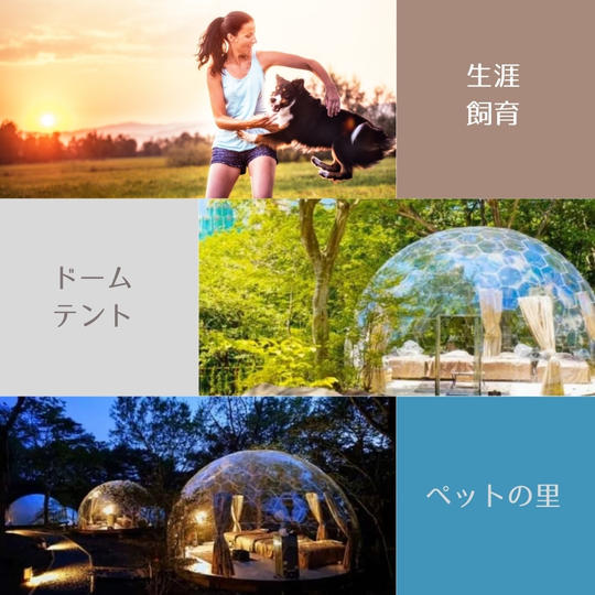 透明ドームテント7泊宿泊券+ペット1匹生涯飼育保証★