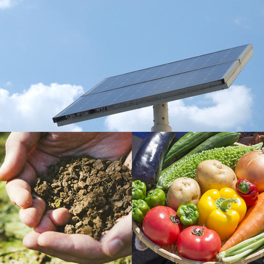 尾道で持続可能な生活体験ツアー(2泊3日)	