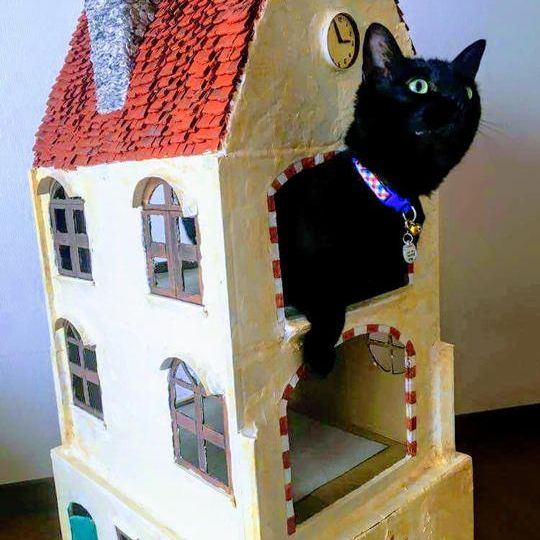  クレーン謙特別提供！あなたのインテリア小物に絵を書きます