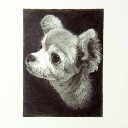 あかころ特別提供！ENLIGHT2021限定フルオーダー鉛筆画