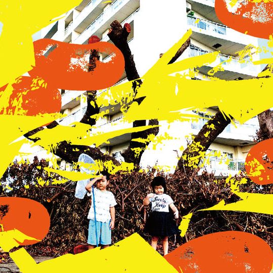 DENPA特別提供！あなたの写真を使ってフォトコラボ 