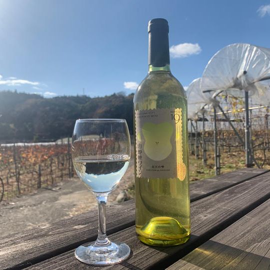 【先着20名様限定】山野峡ワイン2019　北天の雫（山ぶどう×リースリング）