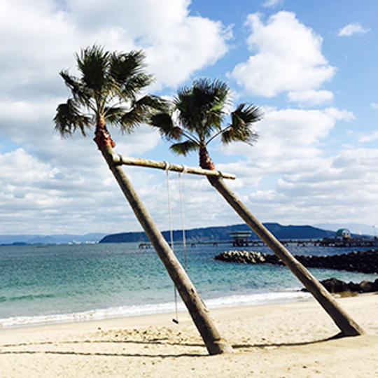 特別応援！お任せ御礼品5,000円プラン	