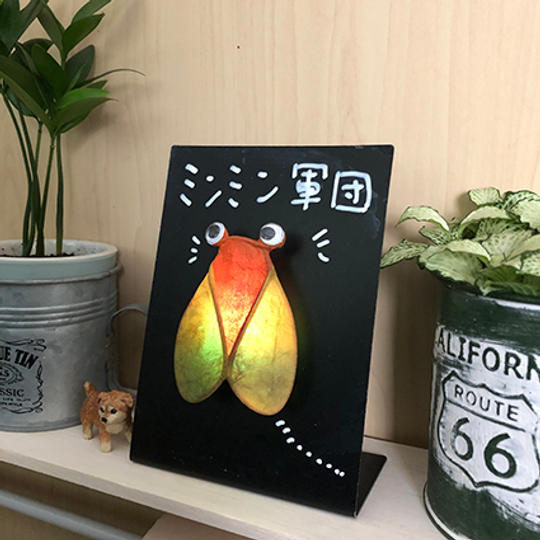 オリジナルライト「ミンミン軍団」とフォトブック