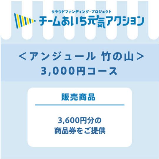 来店して支援（3,000円コース）