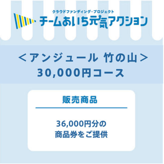 来店して支援（30,000円コース）