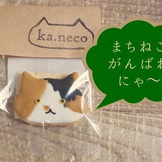 まちねこ がんばれにゃ～＊応援参加＊返礼品無し