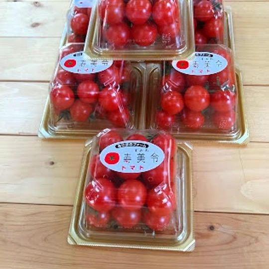 高級フルーツトマト「寿美令(すみれ)」6パックセット＋サンクスレター