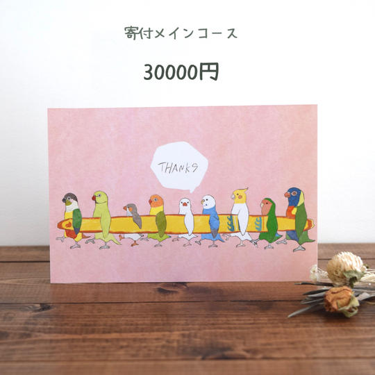 寄付メインコース　30000円　寄付率100%