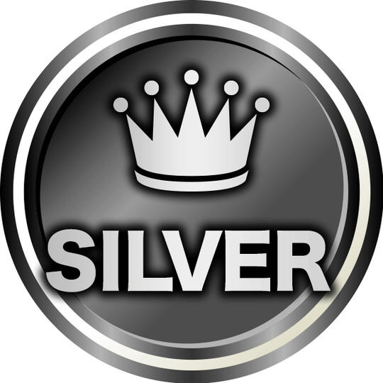 ３万円のご支援（シルバー会員）