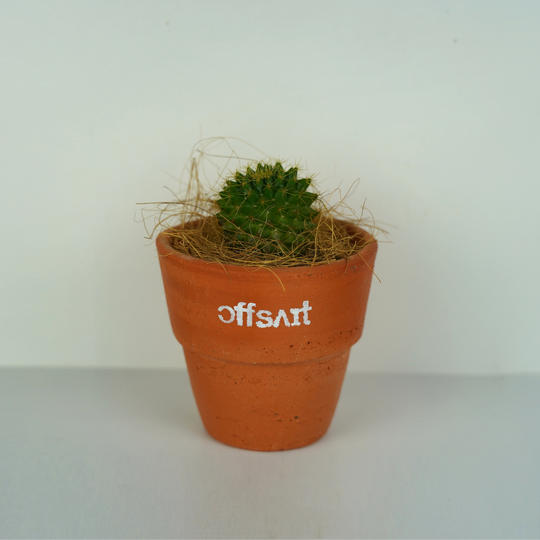 サボテン（ロゴ入りポット付き）＆お礼状（ポストカード）