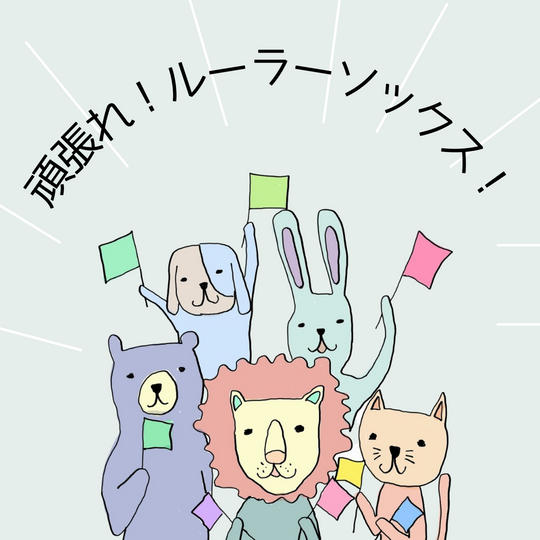 ただただ、ルーラーソックスを応援したい！（返礼品なし）