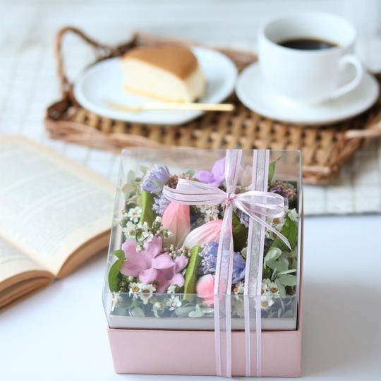 【DREAM　BOX(ドリームボックス)】