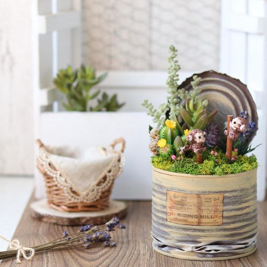 【モンキーモンキー(Ｍ)】