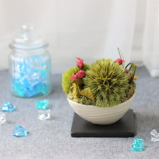 【ポワッソン・ルージュ】