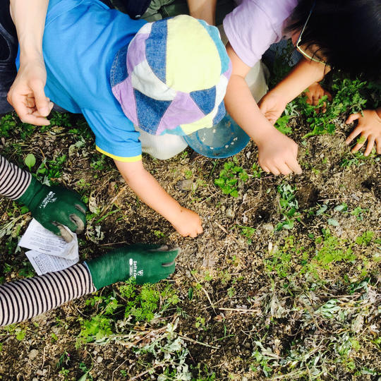 【染色の森を作る】木を植えよう