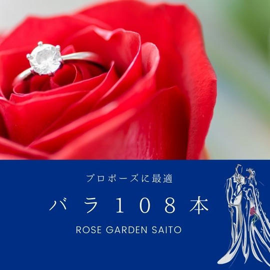 【25%OFF】プロポーズに 花束108本コース