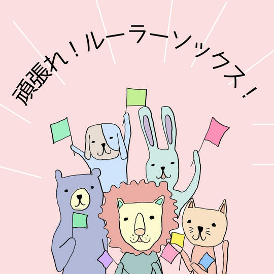 ただただ、ルーラーソックスを応援したい！第２弾（返礼品なし）