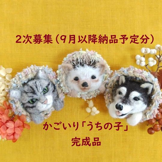 2次募集「かご入りうちの子」完成品（9月以降発送分）