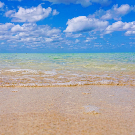 返礼品不要、ただただ応援！