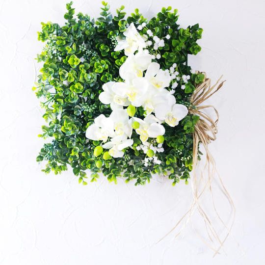 White【壁に爽やかグリーン】