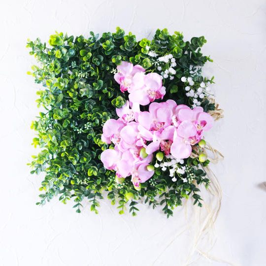 Pink【壁に爽やかグリーン】