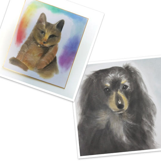 パステルで描く　似顔絵（動物　哺乳類・鳥類限定）