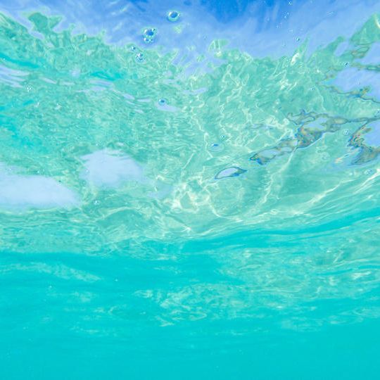 【追加】返礼品不要、ただただ応援！