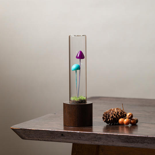 【最後のリワード追加！】えらべるkinokoakari