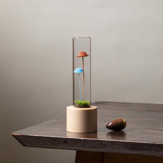 【最後のリワード追加！】えらべるkinokoakari どんぐりセット