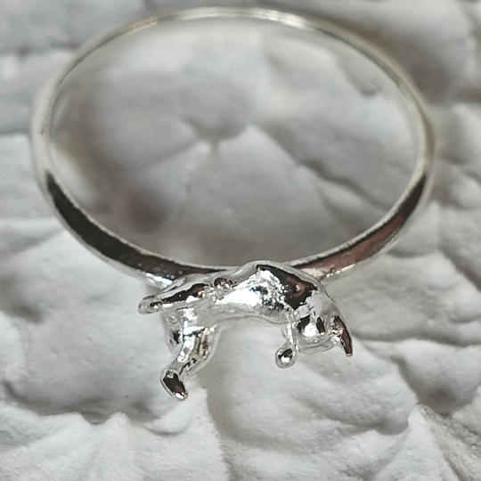 一部、保護猫団体へ寄付される手を舐めている猫のピンキーリング