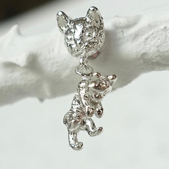 一部、保護猫団体へ寄付される子猫をくわえている猫のピアス