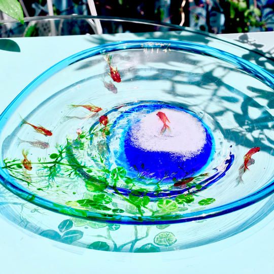 【吹きガラス　1作品のみ　再販なし】手作りプレート（金魚）A